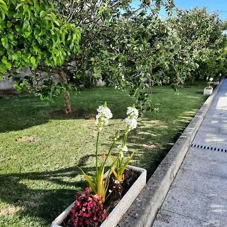 Apartamento Con Jardin Apartment O Grove